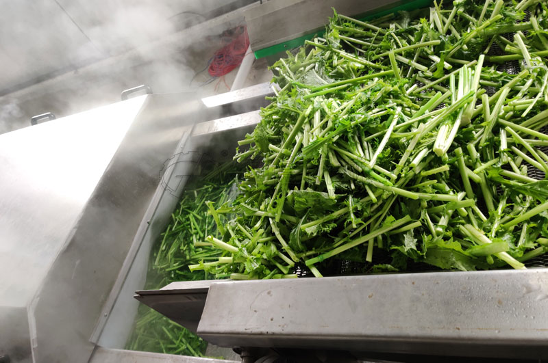 不銹鋼制作的漂燙蒸煮機(jī),四周雙層保溫